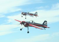 N955SF - Yaks Over Phoenix - by Irene Graves