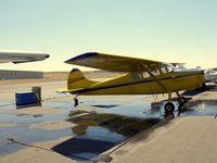 N24590 @ KAPA - Reflecting in the water... This is a cessna 170, don't believe that it's a musketeer - by Victor Agababov