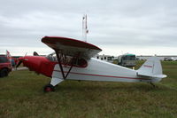 N4086M @ KLAL - Piper PA-12 - by Mark Pasqualino