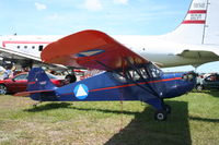 N36821 @ KLAL - Aeronca 65-TAF - by Mark Pasqualino