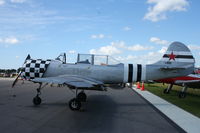 N30HT @ KLAL - YAK 52 - by Mark Pasqualino