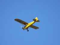 N6462H - Flying over beach on St. Simons Island, GA - by Kristen Bird