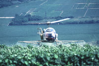 F-BTSE - Champagne vineyard (Boursault) 1983 - by Alain Saint-Denis
