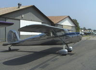 N4151N @ SZP - 1947 Cessna 140, Continental C85 85 Hp - by Doug Robertson