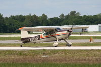 N180DH @ LAL - Cessna 180 - by Florida Metal