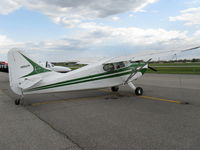 N6663M @ KAXN - This plane is for sale! Hope it doesn't move far though, I love seeing it here! - by Kreg Anderson
