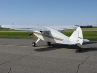 N468K @ KAXN - This pilot came in with his golden retriever! :D - by Kreg Anderson