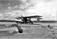 PP-PEB - Panair do Brasil - by Unknown
