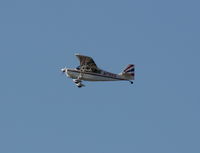 N79SG @ LAL - American Champion 8KCAB