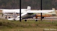 N2652N @ W03 - Shiny and lime trim?  Got my attention