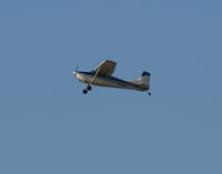 N4807 @ LAL - Cessna 185 - by Florida Metal