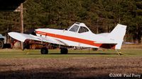 N59669 - Solitary ag-bird at home
