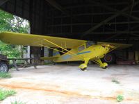 N95653 - classic Taylorcraft - by Tom Cooke