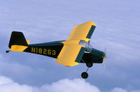 N18263 @ OSH - ABOVE LAKE WINABAGO WI - by EAA PHOTO STAFF