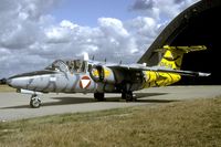 1116 @ ETME - The familiar tiger coloured Saab 105 GF-16 was one of the visitors on th Eggebek open house in 2002.
