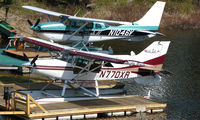 N770XR @ AK19 - Maule M-7-235B in a beautiful location - by Terry Fletcher