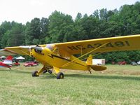 N42481 - J-3 Cub - Steele Field NC - by Tom Cooke