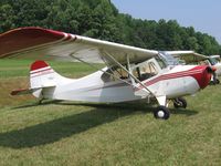 N84232 - Aeronca Champ - Steele Field - by Tom Cooke