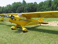 N70729 - lots of Cubs @ Steele Field, Walnut Cove NC - by Tom Cooke
