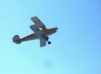 N131G photo, click to enlarge