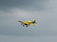 N9187Q - Lewis Flying Service plane - by Edward N. Leger