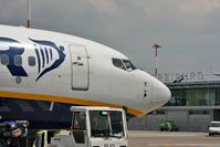 EI-DCE photo, click to enlarge EI-DCE photo, click to enlarge