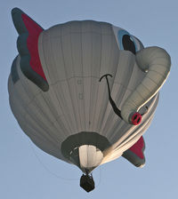 N8013E @ JY33 - This has to be coolest balloon I have ever seen! - by Daniel L. Berek