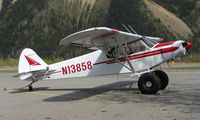 N13858 @ HRR - Piper Pa-18-150 at Healy River - by Terry Fletcher