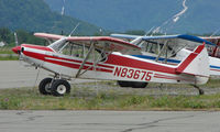N83675 @ PAQ - Piper Pa-18-150 at Palmer AK