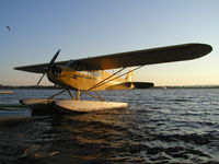 N98781 @ KDYT - Waiting to be put up on dry land. - by Mitch Sando