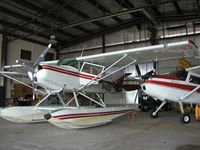 N419X photo, click to enlarge