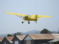 N37XL photo, click to enlarge
