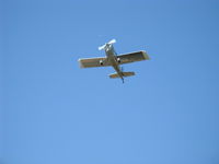 N214MK photo, click to enlarge