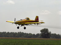 N1036S - Caring for cotton in Hollandale, MS - by J E Graves
