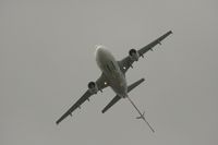 EC-HLA photo, click to enlarge