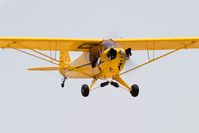 N40642 @ KLPC - At West Coast Piper Cub Fly-in 2008 Lompoc - by Mike Madrid