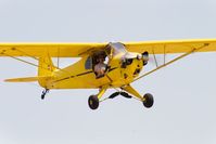 N30653 @ KLPC - At West Coast Piper Cub Fly-in 2008 Lompoc