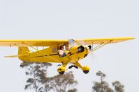 N32673 @ KLPC - At West Coast Piper Cub Fly-in 2008 Lompoc