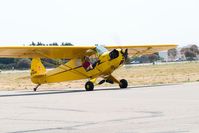 N21506 @ KLPC - Runup West Coast Piper Cub Fly-in Lompoc 2008