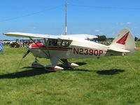 N2390P @ OSH - Airventure 2008 - Oshkosh, WI - by Bob Simmermon