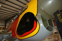 N1195N @ S67 - Parrot head P40 on display at Warhawk Air Museum. - by Bluedharma