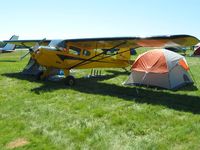 N43683 @ OSH - Airventure 2008 - Oshkosh, WI - by Bob Simmermon