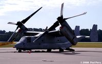 166688 @ LBT - Always love to see an Osprey