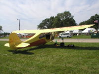 N84020 @ KOSH - EAA AirVenture 2008. - by Mitch Sando