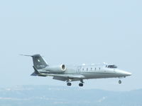 EI-REX @ EGGD - heineken cup final day!!! - by Daniel Seaman
