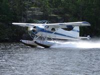 C-FURR - Early morning beaver - by David Washington
