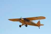 N2421S @ KOSH - Piper PA-18-150 - by Mark Pasqualino
