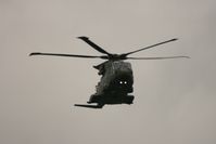 ZJ132 photo, click to enlarge