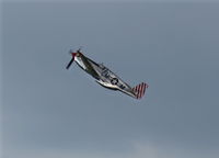 N251MX @ YIP - P-51C Betty Jane - by Florida Metal