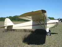 N95342 @ 68C - Taylorcraft BCS12-D
